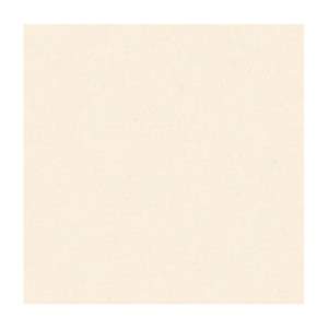 Gạch Porcelain Thắng Cường 80x80 TRT8801