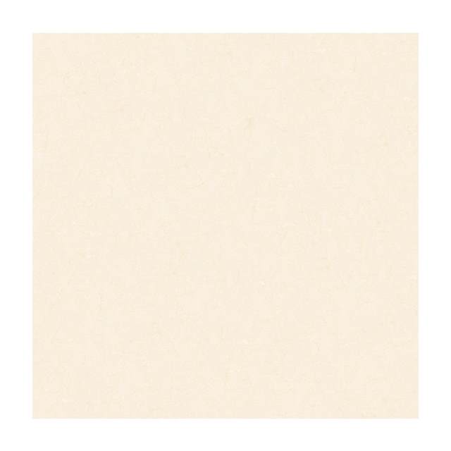 Gạch Porcelain Thắng Cường 80x80 TRT8801