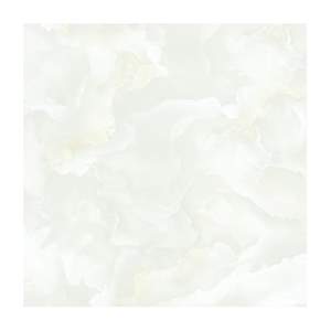 Gạch Porcelain Thắng Cường 80x80 TRT8802