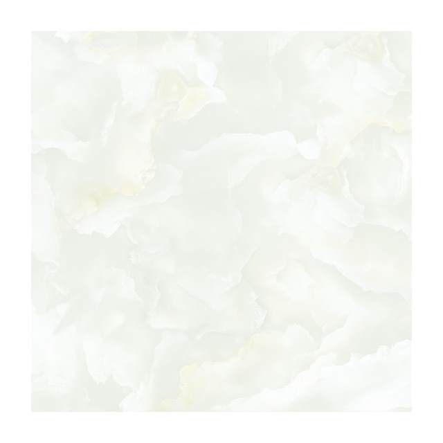 Gạch Porcelain Thắng Cường 80x80 TRT8802