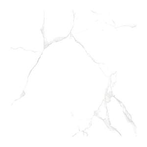 Gạch Porcelain Thắng Cường 80x80 TRT8807