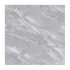 Gạch Porcelain Thắng Cường 80x80 TRT8811