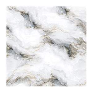 Gạch Porcelain Thắng Cường 80x80 TTN8002