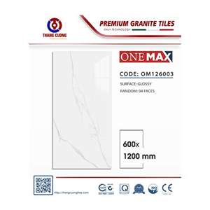 Gạch Porcelain Thắng Cường 60x120 OM126003