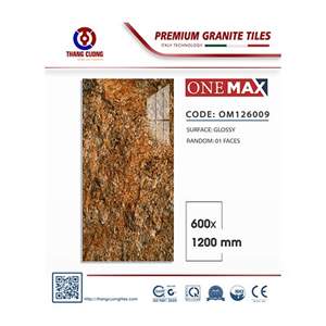 Gạch Porcelain Thắng Cường 60x120 OM126009
