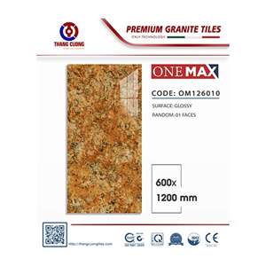 Gạch Porcelain Thắng Cường 60x120 OM126010