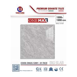 Gạch Porcelain Thắng Cường 120x120 OM2312901