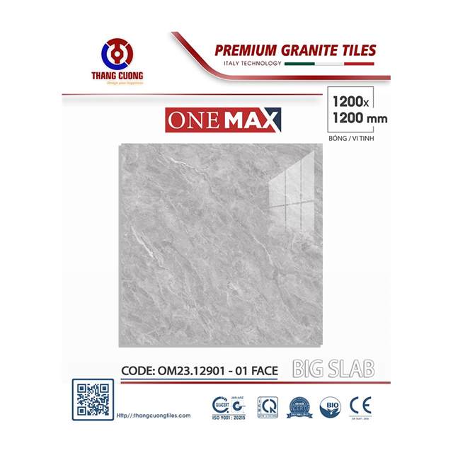 Gạch Porcelain Thắng Cường 120x120 OM2312901