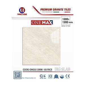 Gạch Porcelain Thắng Cường 120x120 OM2312908