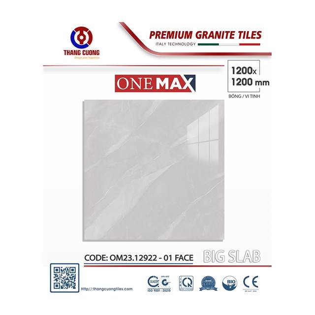 Gạch Porcelain Thắng Cường 120x120 OM2312922