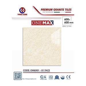 Gạch Porcelain Thắng Cường 60x60 OM6901