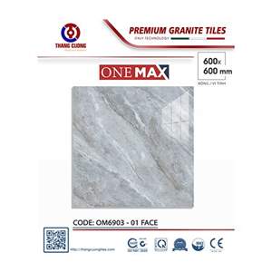 Gạch Porcelain Thắng Cường 60x60 OM6903