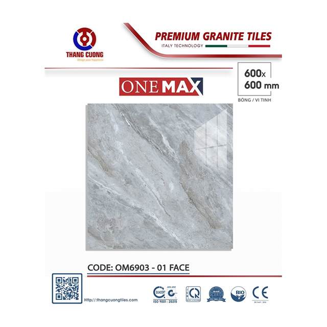 Gạch Porcelain Thắng Cường 60x60 OM6903