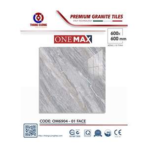Gạch Porcelain Thắng Cường 60x60 OM6904