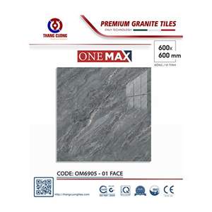 Gạch Porcelain Thắng Cường 60x60 OM6905