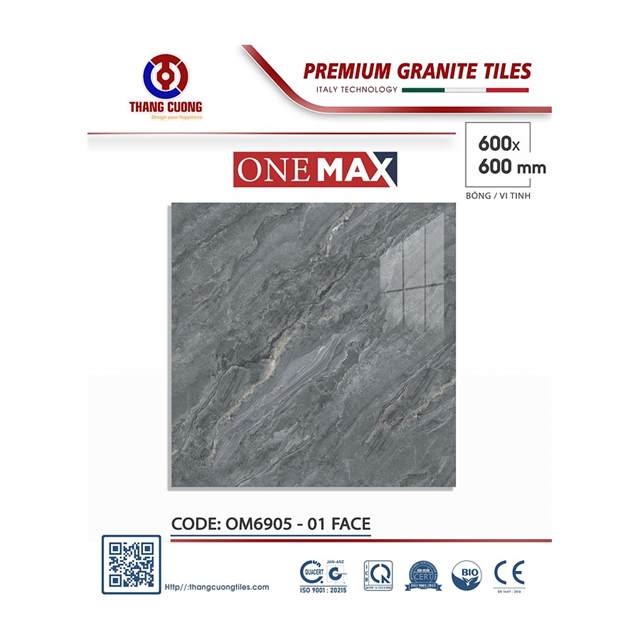 Gạch Porcelain Thắng Cường 60x60 OM6905