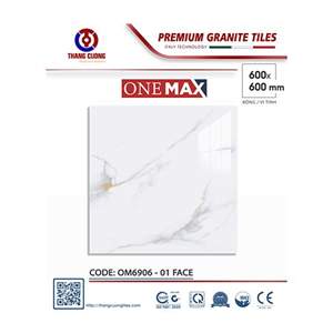Gạch Porcelain Thắng Cường 60x60 OM6906