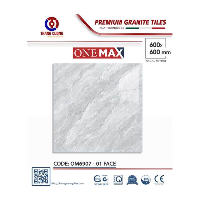 Gạch Porcelain Thắng Cường 60x60 OM6907