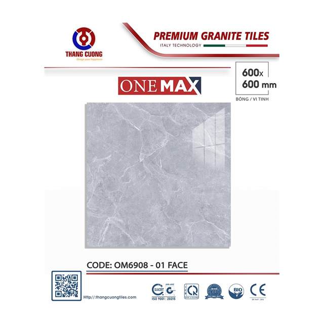 Gạch Porcelain Thắng Cường 60x60 OM6908