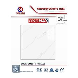 Gạch Porcelain Thắng Cường 60x60 OM6914