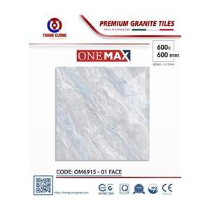 Gạch Porcelain Thắng Cường 60x60 OM6915