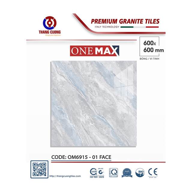 Gạch Porcelain Thắng Cường 60x60 OM6915