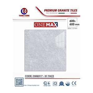 Gạch Porcelain Thắng Cường 60x60 OM6917