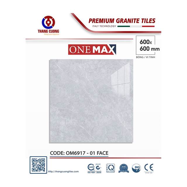 Gạch Porcelain Thắng Cường 60x60 OM6917