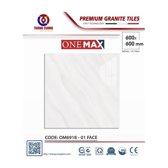 Gạch Porcelain Thắng Cường 60x60 OM6918
