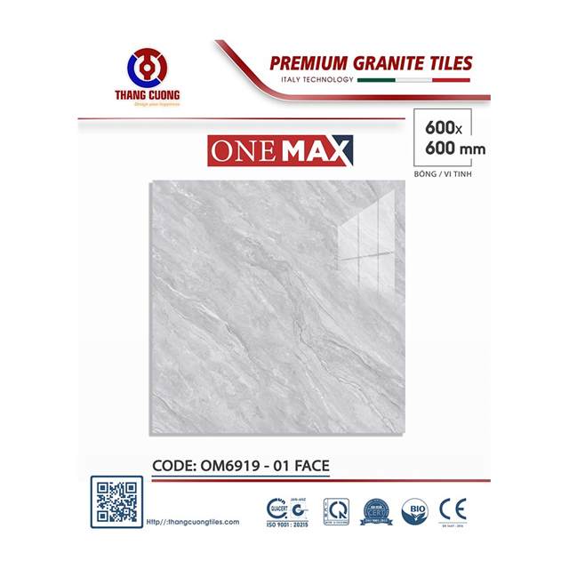 Gạch Porcelain Thắng Cường 60x60 OM6919