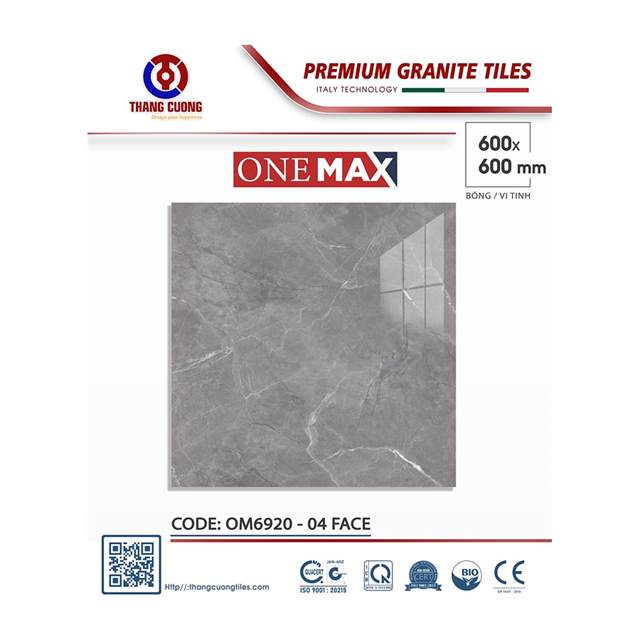 Gạch Porcelain Thắng Cường 60x60 OM6920
