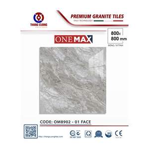 Gạch Porcelain Thắng Cường 80x80 OM8902