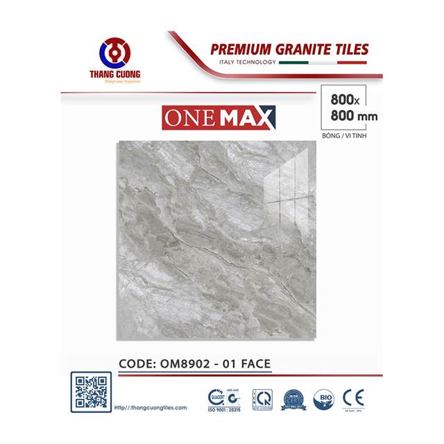 Gạch Porcelain Thắng Cường 80x80 OM8902
