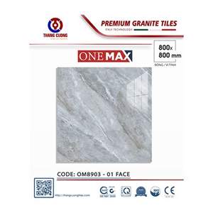Gạch Porcelain Thắng Cường 80x80 OM8903