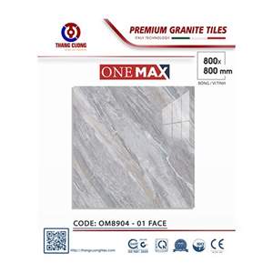 Gạch Porcelain Thắng Cường 80x80 OM8904