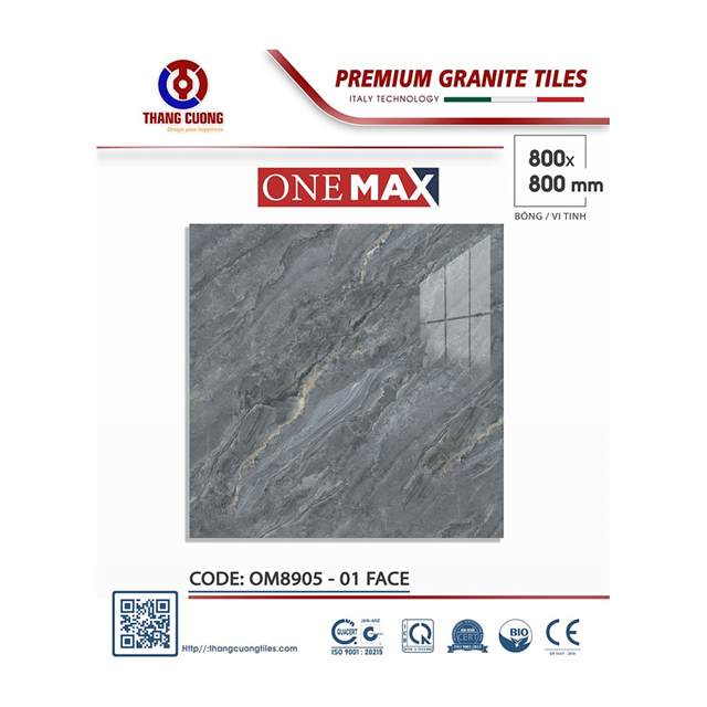 Gạch Porcelain Thắng Cường 80x80 OM8905