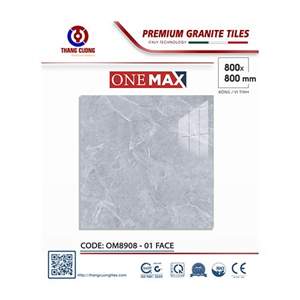 Gạch Porcelain Thắng Cường 80x80 OM8908