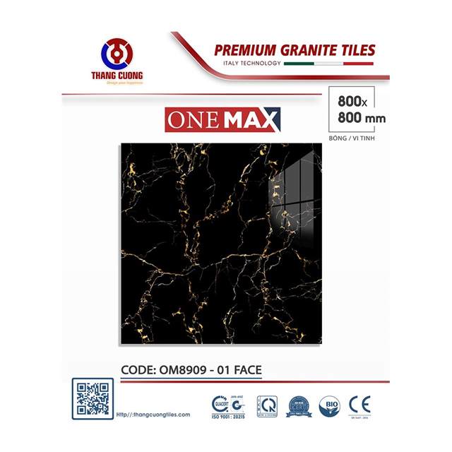 Gạch Porcelain Thắng Cường 80x80 OM8909