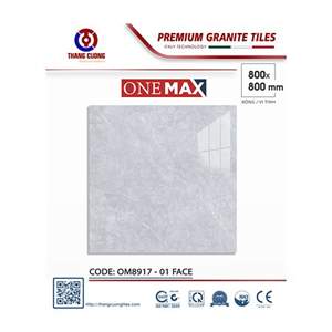 Gạch Porcelain Thắng Cường 80x80 OM8917