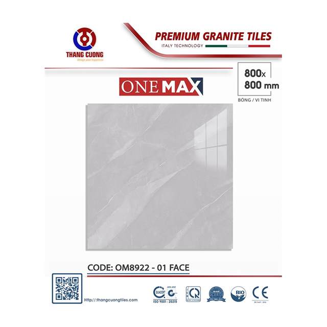 Gạch Porcelain Thắng Cường 80x80 OM8922