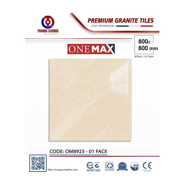 Gạch Porcelain Thắng Cường 80x80 OM8923