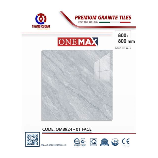Gạch Porcelain Thắng Cường 80x80 OM8924