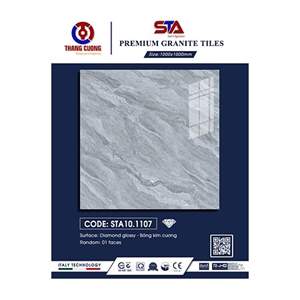 Gạch Porcelain Thắng Cường 100x100 STA101107