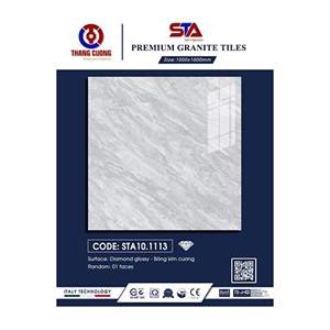 Gạch Porcelain Thắng Cường 100x100 STA101113
