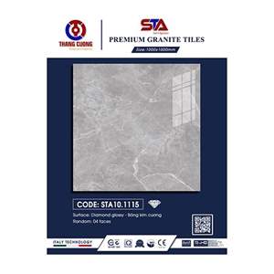 Gạch Porcelain Thắng Cường 100x100 STA101115