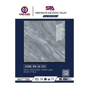 Gạch Porcelain Thắng Cường 100x100 STA101121