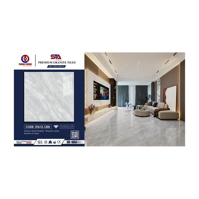 Gạch Porcelain Thắng Cường 120x120 STA1205