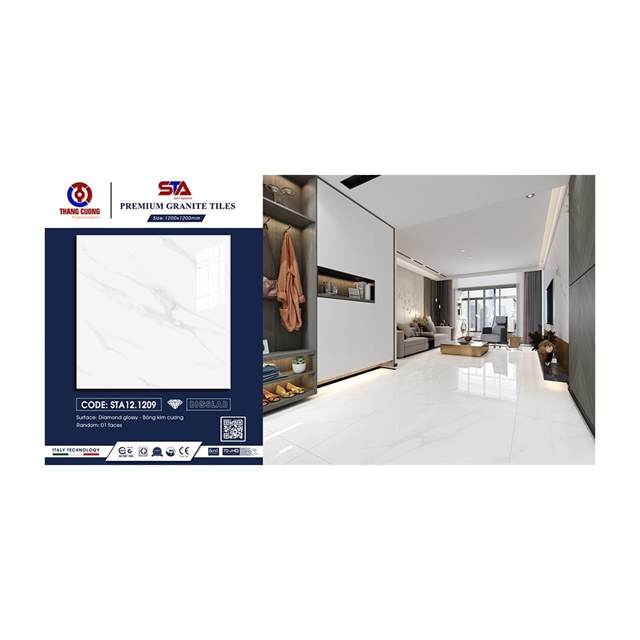Gạch Porcelain Thắng Cường 120x120 STA1209