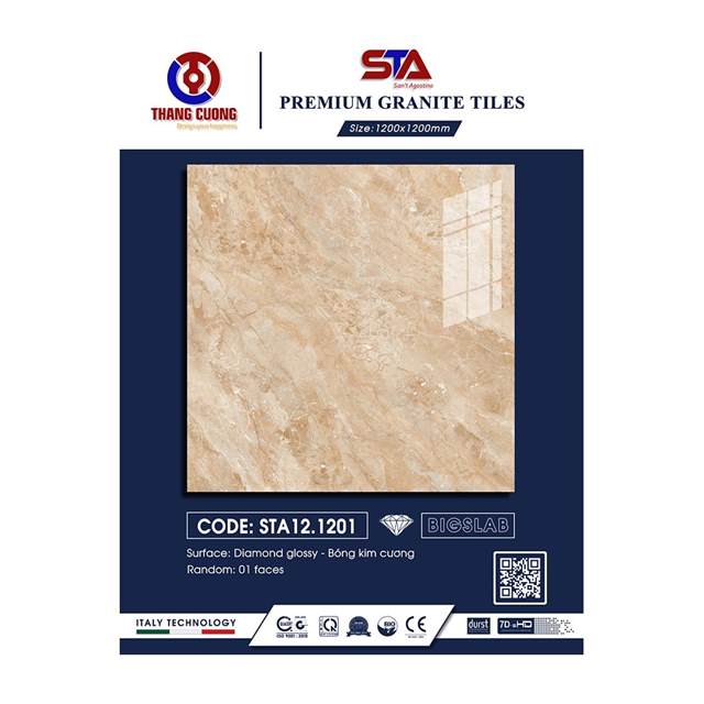 Gạch Porcelain Thắng Cường 120x120 STA121201