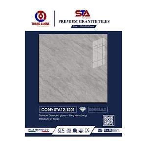 Gạch Porcelain Thắng Cường 120x120 STA121202